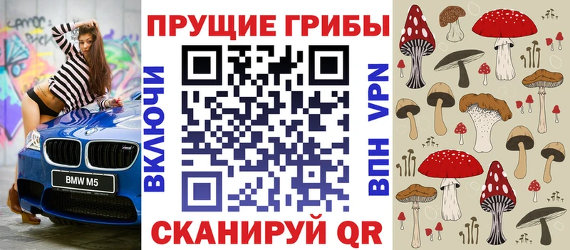 Купить где  Грайворон  Галлюциногенные грибы GOLDEN TEACHER 
