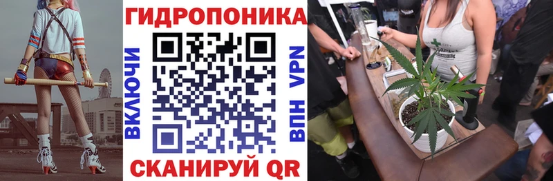 Конопля план Грайворон